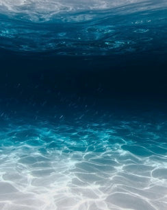 What Our Ocean Does for Us