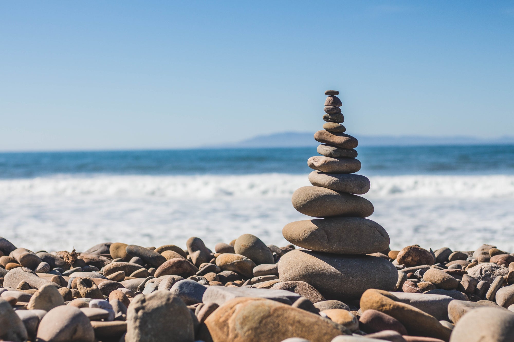 What is Wellness, and Why is it Important?