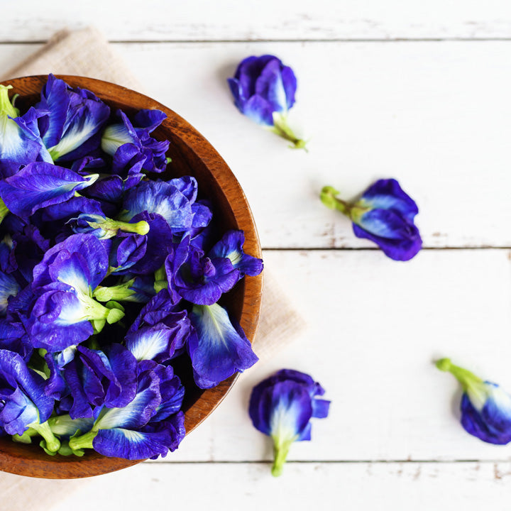 Ingredient Spotlight: Blue Butterfly Pea Extract
